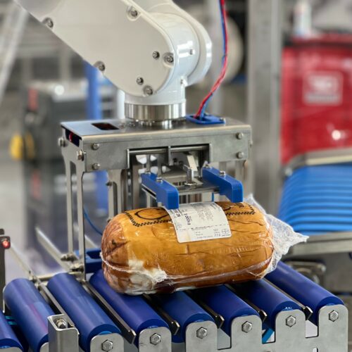Transfert_robotisé_Indusap-2