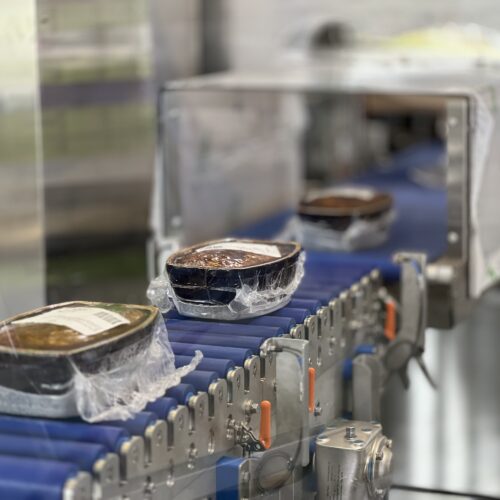 Transfert_robotisé_Indusap-3